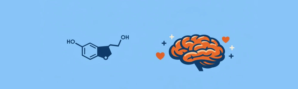 心と脳のメンテナンス