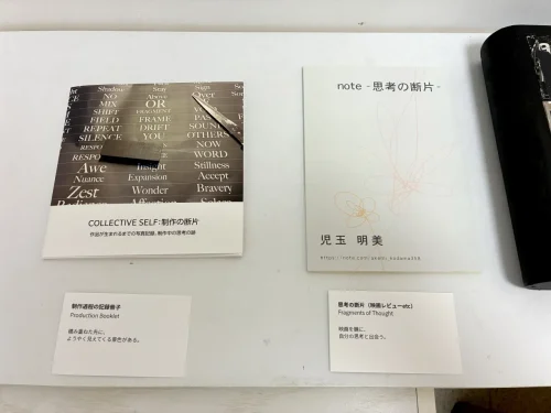 Documentary display revealing the 'invisible mass of thought' through trial and error